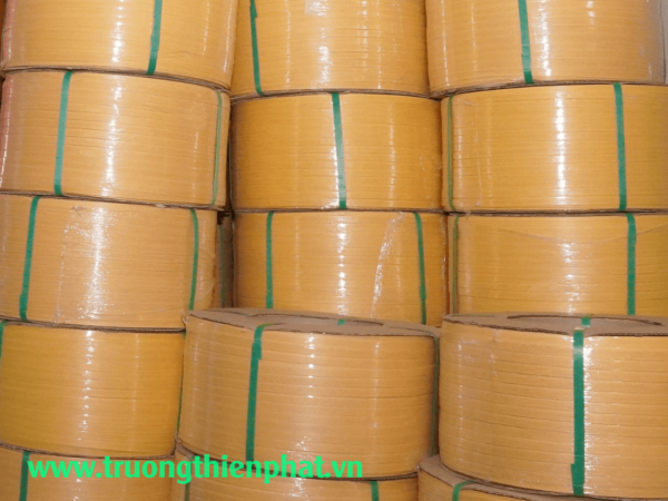 DÂY ĐAI NHỰA PP - Hình ảnh 3